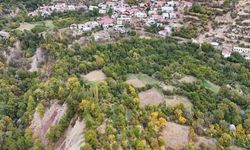 Batman'da Kayalıktan Düştü, Ağır Yaralandı