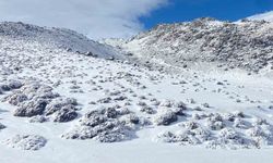Bitlis'te Yüksek Kesimler Beyaza Büründü