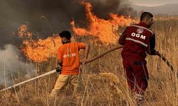 Yüksekova'daki Kuş Cennetinde Çıkan Yangın Sürüyor