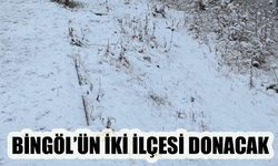 Bingöl'ün iki ilçesi donacak