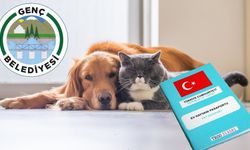 Bingöl’ün İlçesinde Sahipli Kedi ve Köpekler için Kimliklendirme Çağrısı