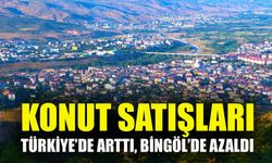 Konut Satışları Türkiye’de Arttı, Bingöl’de Azaldı
