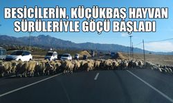 Bingöl’de Besicilerin Göç Yolculuğu Başladı