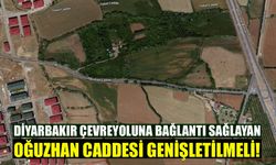 Bingöl’den Diyarbakır Çevreyoluna Bağlantı Sağlayan Oğuzhan Caddesi Genişletilmeli!