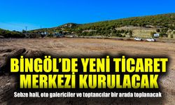Bingöl’de Yeni Ticari Alan Oluşturuluyor