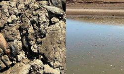 Siirt'te Kurumaya Yüz Tutan Gölete 150 Ton Su Takviyesi