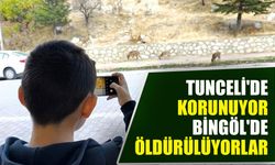 Tunceli'de Korunuyor, Bingöl'de Öldürülüyorlar