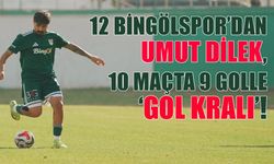 12 Bingölspor’un Golcüsü: Birçok Takımdan Fazla Gol Attı!