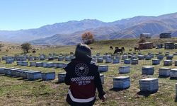 Yedisu'da Arıcılar Bilgilendirildi