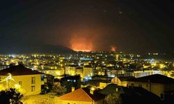 Hakkari'deki Kuş Cennetinde Büyük Yangın