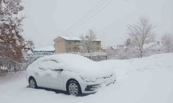 Başkale’de Yoğun Kar Yağışı Ulaşımı Felç Etti