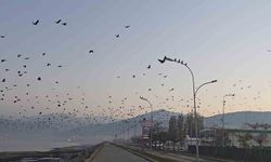 Tatvan Sahilinde Gökyüzünde Dikkat Çeken Görüntü