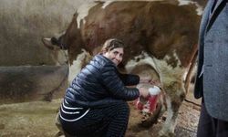 8 Erkek Adayı Geride Bıraktı, Muhtar Oldu