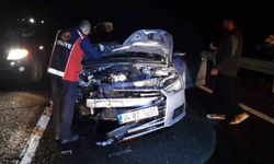 Otomobilin Çarptığı At Telef Oldu