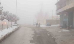 Başkale’de Yoğun Sis Etkili Oldu