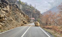 Heyelan Sonrası Kapanan Yollar Yeniden Açıldı