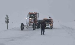 Muş-Kulp Karayolunda Hava Şartları Ulaşımı Aksattı