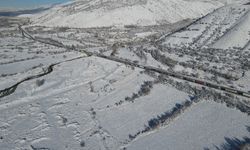 Karayolunda Yaşanan Kaza Uzun Araç Kuyruğuna Neden Oldu