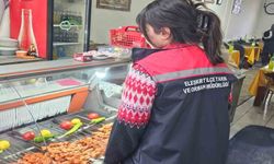 Ağrı'da 1 Ayda 750 İşyeri Denetlendi