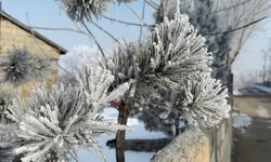 Ağrı'da Araçları Soğuktan Korumak İçin Battaniyeli Çözüm