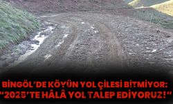 Bingöl’de Köyün Yol Çilesi Bitmiyor: “2025’te Hâlâ Yol Talep Ediyoruz!”