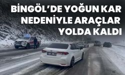 Bingöl’de Yoğun Kar Nedeniyle Araçlar Yolda Kaldı