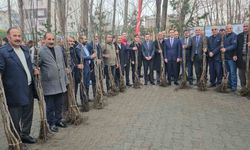 Bitlis'te Üreticiye 12 Bin Aşılı Ceviz Fidanı Desteği