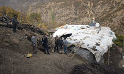 Yaban Keçisi Vurdu, 966 Bin Lira Ceza Yedi