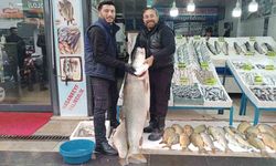 Batman'da Dev Turna Balığı Tezgâhta