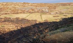 “Taş Ocağı mı? Orman mı? Su mu? Hadi Gelin Birlikte Mantık Arayalım!”