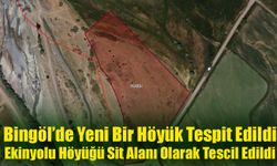 Bingöl’de Yeni Bir Höyük Tespit Edildi:  Ekinyolu Höyük