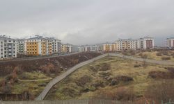 Bingöl'de Yeni Kurulan Esentepe Mahallesi’nde İnceleme