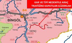 Genç Yenisu Yolu Ulaşıma Kapandı!