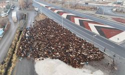 Kış Aylarını Bingöl Dağlarında Geçiren Göçerler Memleketlerine Döndü