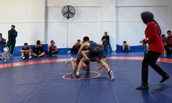 Bingöl'de Güreş İl Birinciliği Müsabakaları Tamamlandı