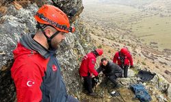 Kayalıkta Mahsur Kalan Keçilerin İmdadına JAK Timi Yetişti