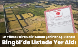 En Yüksek Kira Geliri Sunan Şehirler Açıklandı! Bingöl’de Listede Yer Aldı