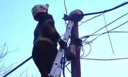 Direkte Mahsur Kalan Kedi İtfaiye Tarafından Kurtarıldı