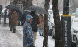 Bingöl'e Haftasonu Kar Yağışı Geliyor!