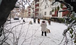 Bingöl Beyaz Örtüyle Kaplandı, Çocuklar Karın Keyfini Çıkardı