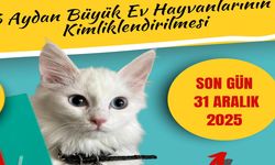 Evcil Kedi ve Köpekler Kimliklendirilecek!