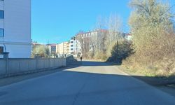 Belediye Neden Göz Yumuyor?