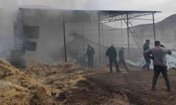 Malatya'da Besi Çiftliğinde Korkutan Yangın