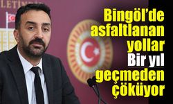 Bingöl’de asfaltlanan yollar bir yıl geçmeden çöküyor