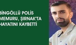 Bingöllü Polis, Şırnak'ta Yaşamını Yitirdi