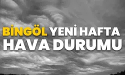 Bingöl’de Hafta İçi Hava Nasıl Olacak?