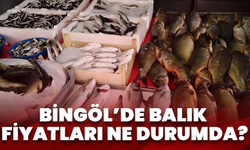 Bingöl’de Balık Fiyatları Ne Durumda?