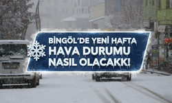Bingöl’de Yeni Hafta Hava Durumu Nasıl Olacak?