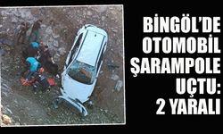 Bingöl’de otomobil şarampole uçtu: 2 yaralı