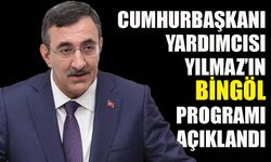 Cumhurbaşkanı Yardımcısı Yılmaz’ın Bingöl Programı Açıklandı
